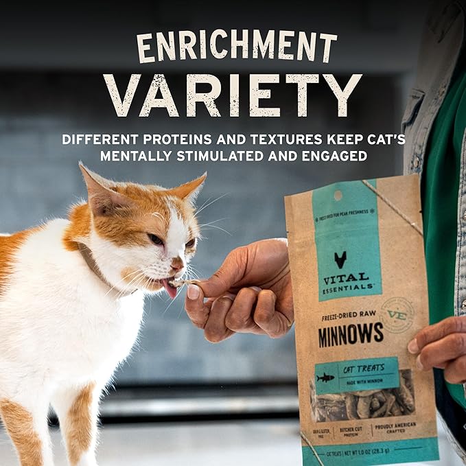 Vital Essentials Freeze Dried Cat Treats | Chicken Giblets, Single Protein | Premium Quality | Grain Free, Healthy Treats for Cats, 1 oz Bag
