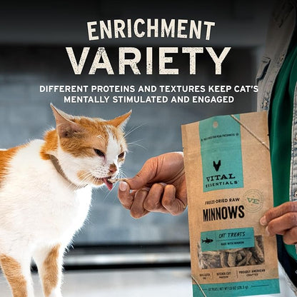 Vital Essentials Freeze Dried Cat Treats | Duck Liver, Single Ingredient | Premium Quality | Grain Free, Healthy Treats for Cats, 0.9 oz Bag
