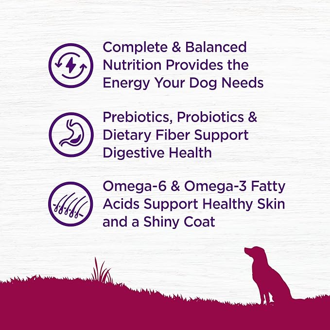 Wellness Complete Health Small Breed Adult Dry Dog Food, Grain Free Kibble, Chicken and Salmon Recipe, 4 lb Bag
