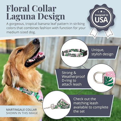 Lucky Love Dog Collars | Girl, boy Dog Collar for Small Medium Large Dogs - Comfortable, Soft, Cute - Laguna, Medium