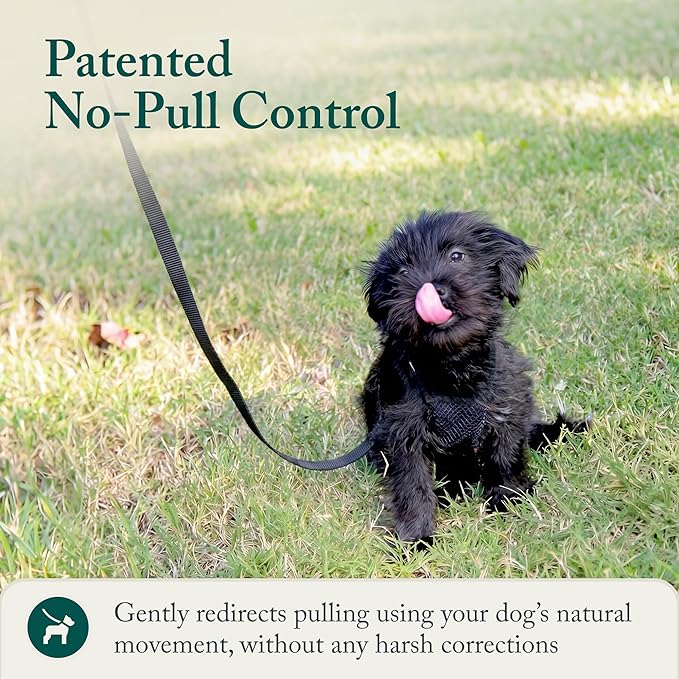 Sporn No Pull Dog Harness, Durable Nylon Mesh Harness for Small Dogs, No Choke Design, Padded Restraint Sleeves, Adjustable Fit, Easy On/Off, Ideal for Small Breeds, Black