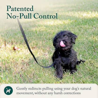Sporn No Pull Dog Harness, Durable Nylon Mesh Harness for Small Dogs, No Choke Design, Padded Restraint Sleeves, Adjustable Fit, Easy On/Off, Ideal for Small Breeds, Black
