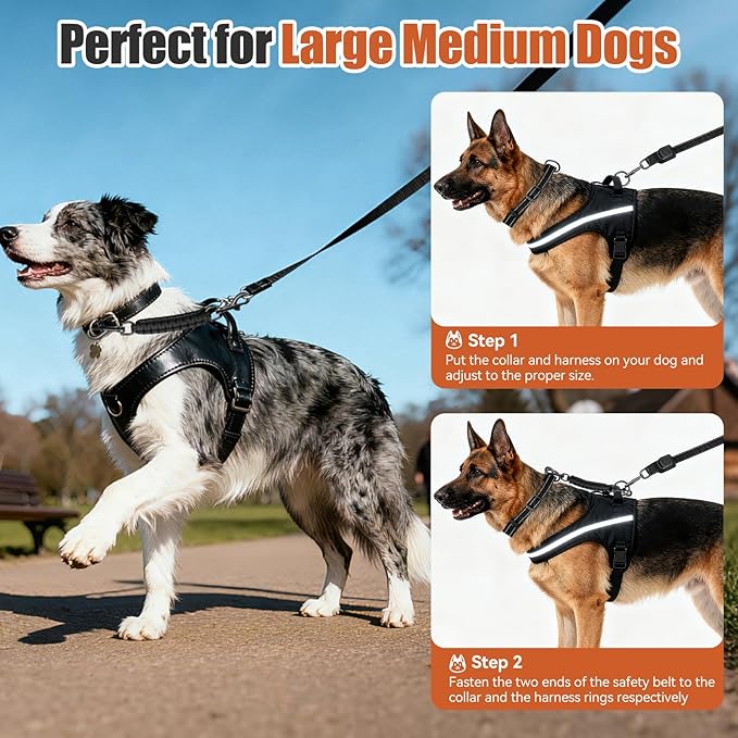Dog Collar Safety Clip with Dual Clasps,Handmade Backup Safety Strap for Dog Harness, Collars and No Pull Harness Connectors (Black)