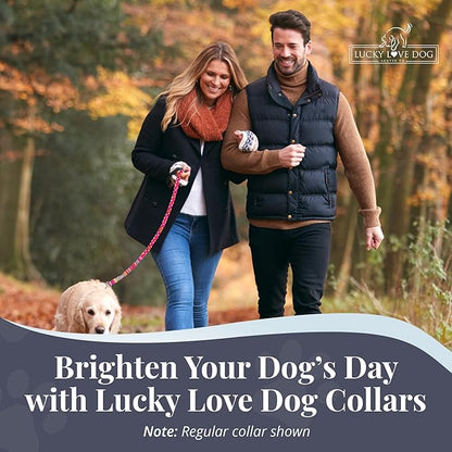 Lucky Love Dog Martingale Dog Collar - Adjustable, No-Slip, Durable, & Soft Webbing Collar for Male and Female Dogs Ideal for Training & Walking - Molly, Medium