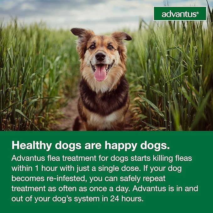 Advantus Dog Fast Acting Oral Flea Treatment Soft Chewable 4 - 22 lbs. | 7 ct.