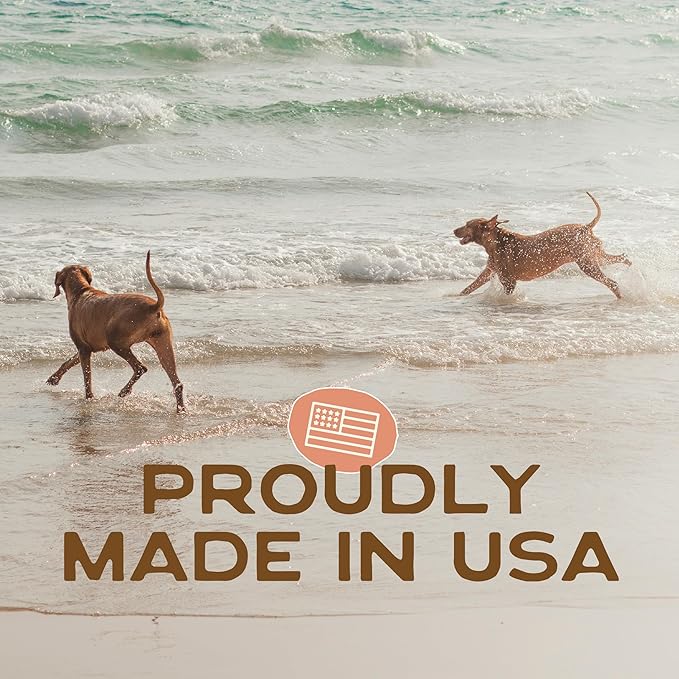 Smart Cookie All Natural Soft Dog Treats - Shrimp & Coconut - Healthy Dog Treats for Allergies, Sensitive Stomachs - Chewy, Grain Free, Human-Grade, Made in The USA - 5oz Bag, 1 Pack