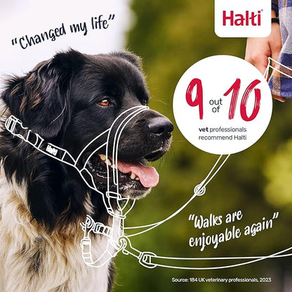 Halti Headcollar - Stop Your Dog Pulling on The Leash. Adjustable, Reflective and Lightweight, with Padded Nose Band. Dog Training Anti-Pull Collar for Medium Dogs (Size 2, Desert Sand)