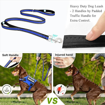 Service Dog Harness and Leash Set, Training Dog Vest with 10 Dog Patches, Emotional Support Therapy Dog Vest Harness for Small Medium Large and Extra Large Dogs(Blue, XS)