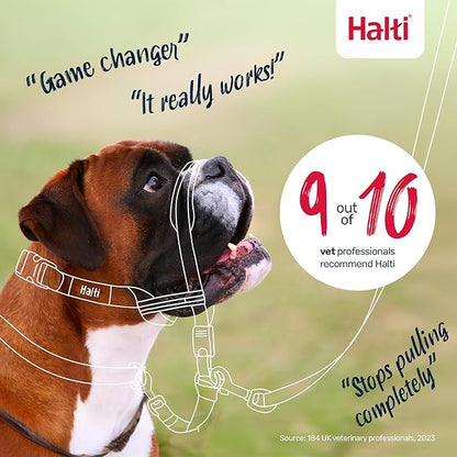Halti Optifit Headcollar - Stop Your Dog Pulling on the Leash. Adjustable, Reflective and Lightweight, with Padded Nose Band. Dog Training Anti-Pull Collar for Medium Dogs (Size Medium)