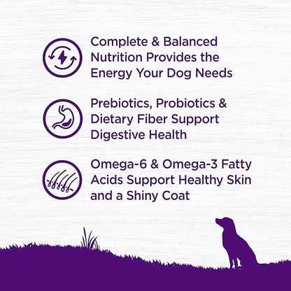 Wellness Complete Health Dry Dog Food, Wholesome Grains, Natural, Whitefish & Sweet Potato, (5-Pound Bag)