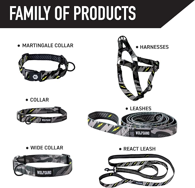 Wolfgang Heavy Duty Martingale Dog Collar with Quick Release Nylon Buckle for Walking & Training, DarkSkies Print, Extra Large