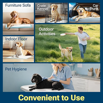 Clean Spaces Extra Large Puppy Pads 28"x34",Super Absorbent Disposable Pee Pads for Dogs / Wee Wee Pads / Potty Training Pads, Incontinence Bed Underpads for Adults, 100 Count