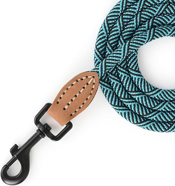 Mile High Life Small Dog Leash, Thin Rope Leash with Genuine Leather Connection and Heavy Duty Metal Clasp, Great for Small Medium Dogs(Turquoise Green, 60 Inch-1/3)