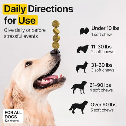 Flea and Tick Prevention for Dogs Chewable – Natural Flea Pills for Dogs, All Breeds & Ages, Chicken Flavor – Dog Flea and Tick Treatment Chewable Supplement – 1 Pack, 170 Count, Made in USA