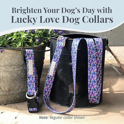 Lucky Love Dog Martingale Dog Collar & Leash - Adjustable, No-Slip, Durable, Comfortable, Soft Webbing, & Stylish Patterned Collar & Leash Set for Male and Female Dogs - Primrose Combo, Small