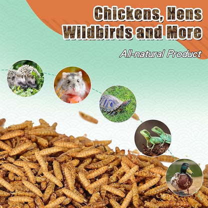 Dried Black Soldier Fly Larvae 44LBS, 85X More Calcium Than Mealworms High-Protein BSF Larvae Chicken Treats Non-GMO BSFL for Chickens, Hens, Ducks, Wild Birds