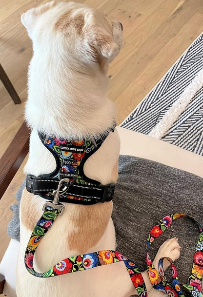 Lucky Love Dog No Pull Dog Harness, Adjustable and Easy to Walk, Cute Patterned Harness for Small Male & Female Dogs - Blackbird, XS