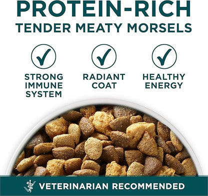 Purina ONE Plus Large Breed Puppy Food Dry Formula - 16.5 lb. Bag