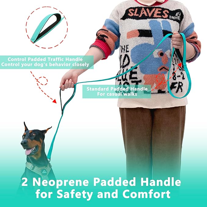 Dog Leash 6.5ft Long, Double Handle Dog Leash for Safety Control Training, Heavy Duty Dog Leads with Traffic Padded Handles, Reflective Leashes for Small Medium Large Dogs(6.5ft, Turquoise)