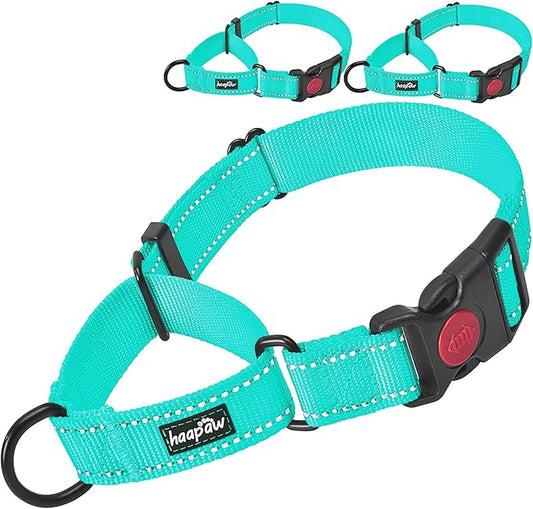 haapaw 2 Packs Martingale Dog Collar with Quick Release Buckle Reflective Dog Training Collars for Small Medium Large Dogs (Medium, Turquoise/Turquoise)