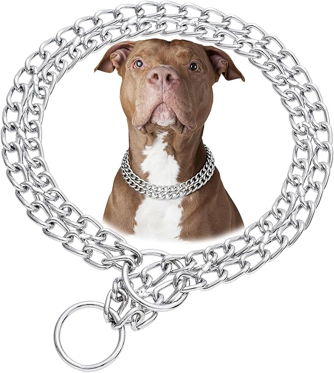 Silver Dog Choke Chain, Double Row Martingale Chain Dog Collars, Chew Proof Metal Cuban Link Slip Collar Adjustable for Small Medium Large Breed Dogs (2 Row, S)