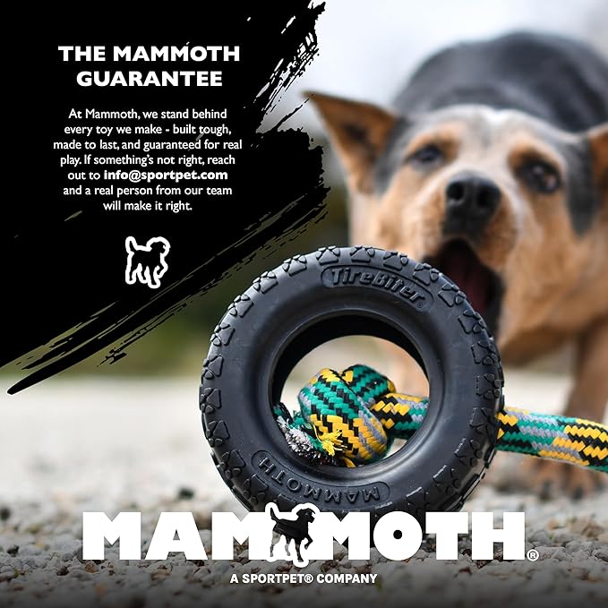 Chew King by Mammoth Glow-in-the-Dark Dog Fetch Balls (2-Pack), Lattice Rubber Fetch Toys for Night Play, High Bounce, Rechargeable Under Any Light, Large 4.5"