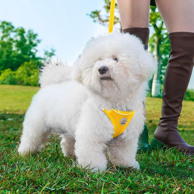 Hipubby Dog Harness and Leash Set, No Pull Soft Mesh Puppy Harness for Small Medium Dogs, Cats - Step in Reflective Breathable Lightweight Vest Harness for Walking, Training - Yellow, S