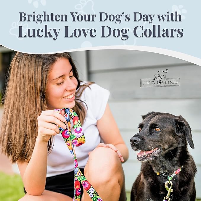 Lucky Love Dog - Adjustable Dog Collar with Easy Click Buckle for Small Dogs, Durable, & Comfortable for Male & Female Dogs, Pet Collar for Puppies & Adult Dogs - Blackbird, Small