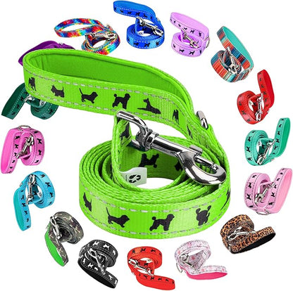EcoBark Dog Leash - Soft & Reflective Comfort Training Leashes with Padded Handle - Safe, Strong, & Durable for Small, Medium or Large Dogs (Green)