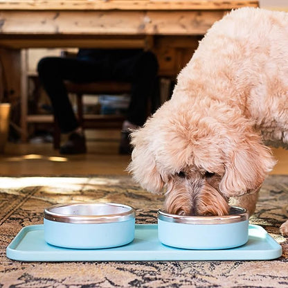 Trot Pets Premium Dog Bowls | Stainless Steel Bowl Set for Small, Medium, or Large Dogs | Non-Slip Food and & Water Slow Feeder | Durable, BPA-Free, Anti-Skid, Dishwasher Safe (Charcoal, Small)