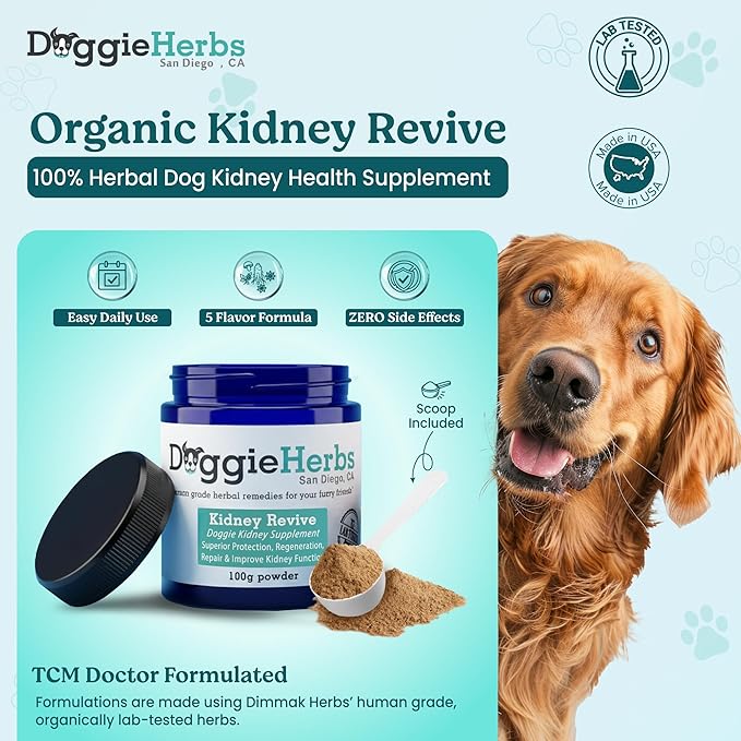 Organic Kidney Support & Renal Health- Rehmannia & Cordyceps Powder- TCM Doctor Formulated Tonic for Bladder Health, Incontinence & Kidney Function- Human Grade Supplement for Senior Dogs