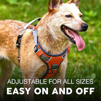 Embark Adventure No-Pull Medium Dog Harness – Reflective Trim, Military-Grade Nylon, Front Clip with Gel-Lined Handle