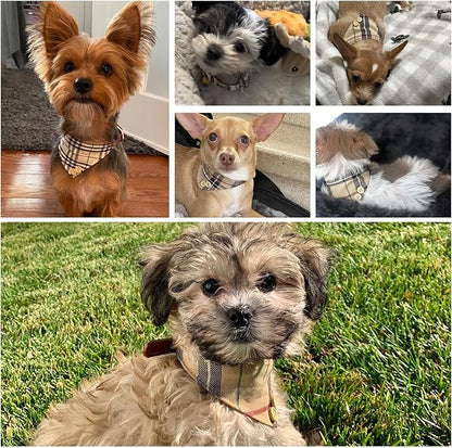 EXPAWLORER Dog Collar and Bandana Set - Classic Plaid Dog Bow Tie and Bandana Collar with PU Leather, Adjustable Collars for Small Medium Large Dogs Cats, Holiday Ideal Gift, Beige SM