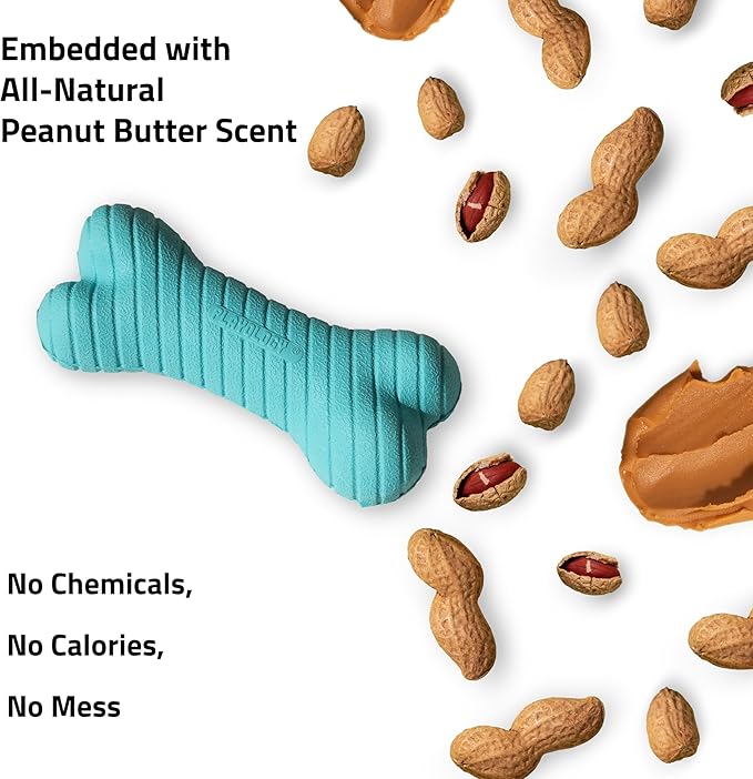 Playology Dog Toys | Dual Layer Bone Durable Chew Toy Bone for Dogs | Jumbo Peanut Butter Scented Toy - Easy to Clean and Made from Non Toxic Materials