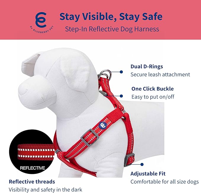 Blueberry Pet Essentials Reflective Back to Basics Matching Dog Harness and Leash Set, Rouge Red, Adjustable Harness with 4 ft Leash for Large Dogs
