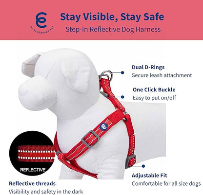 Blueberry Pet Essentials Reflective Back to Basics Matching Dog Harness and Leash Set, Rouge Red, Adjustable Harness with 4 ft Leash for Large Dogs