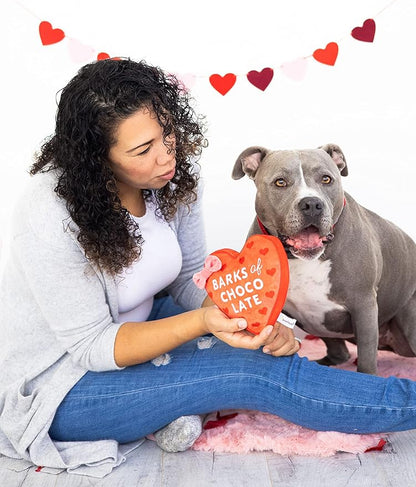 Pearhead Valentine’s Day Plush Dog Toy – Barks of Chocolate Box Squeaky & Crinkle Stuffed Dog Toy, Interactive for Dogs