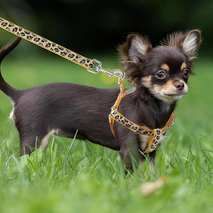 Mile High Life Leopard Dog Harness Collar Leash Set, Adjustable No Pull Dog Halter Harness for Small Breed Dogs, Easy Control for Training Walking (Yellow, XS Chest 9"-15", Neck 8"-12")
