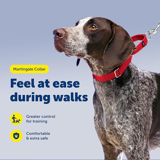 PetSafe Martingale Dog Collar - Safer Than Choke Chains - Gentle Correction for Pulling - Escape Prevention Collar - Durable Nylon - Everyday Walking Gear - 3/4" - Medium - Red