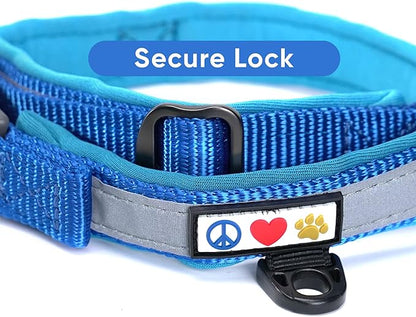 Pawtitas Lumberjack Padded Martingale Collar for Dogs | Soft Neoprene Dog Collar for Your pet's Comfort Made with Reflective Band for Maximum Visibility | Fits Small and Large Pets - Large Blue