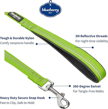 Blueberry Pet 3M Reflective Pastel Color Dog Leash with Soft & Comfortable Handle, 4 ft x 1", Green Flash, Large, Leashes for Dogs