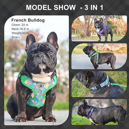 BEAUTYZOO Step in Dog Harness Collar and Leash Set for Small Medium Large Dogs, No Pull No Choke Puppy Harness, Soft Mesh Reflective Pet Padded Vest Adjustable for Doggie Girl or Boy,Chihuahua,Yorkie
