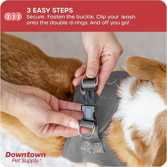 Downtown Pet Supply Step-in Dog Harness – No Pull, Adjustable Padded Mesh with Reflective Trim, Secure Buckle Strap – Comfortable & Breathable Small Dog Harness, XX-Small, Light Gray
