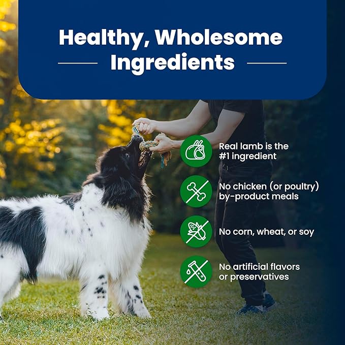 Blue Buffalo Life Protection Formula, Adult Dry Dog Food, Made with Natural Ingredients, Lamb & Brown Rice, 40lb Bag