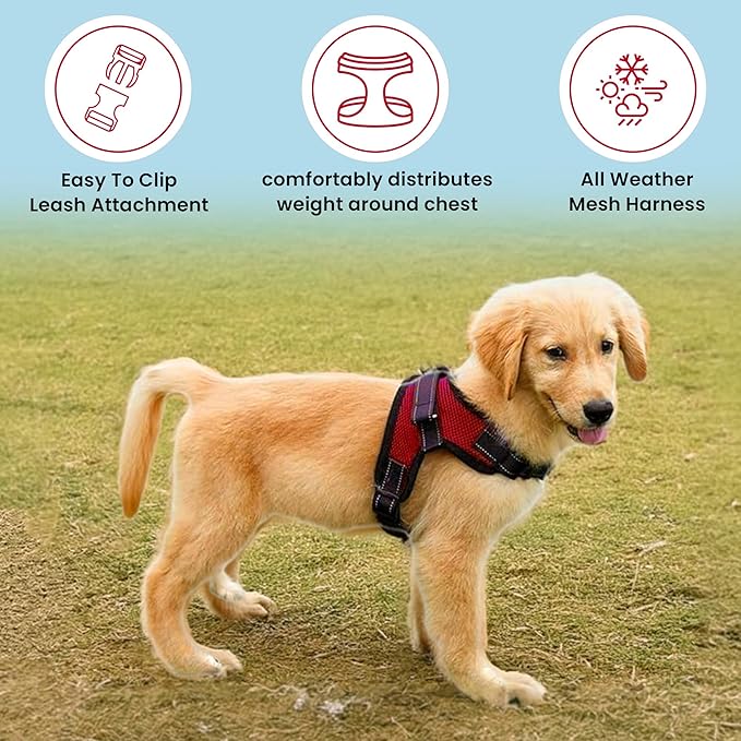 No Pull Reflective Adjustable Dog Harness with Handle- Comfortable Soft All Weather Mesh, Easy On Puppy Harness for Small Medium and Large Dogs (Red) Small