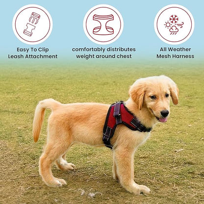 No Pull Reflective Adjustable Dog Harness with Handle- Comfortable Soft All Weather Mesh, Easy On Puppy Harness for Small Medium and Large Dogs (Red) X-Large