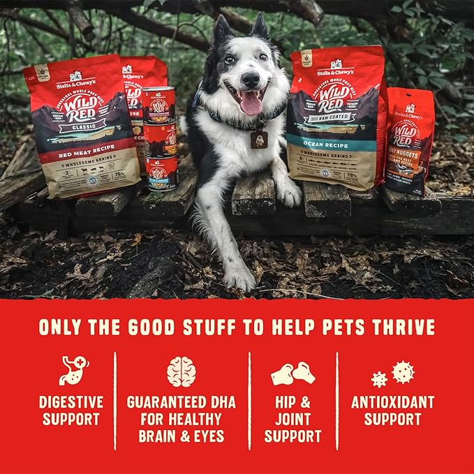 Stella & Chewy's Wild Red Dry Dog Food Raw Coated High Protein Wholesome Grains Red Meat Recipe, 21 lb. Bag
