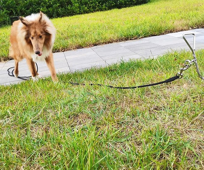 Tie Out Rope Dog Leash, Long Tether 8-10-13-15-20-25-30-35-40-50-65 FT Heavy Duty Nylon Check Cord for Medium Large Dogs 20FT Indoor/Outdoor Playing Camping Backyard (Black, 3/8")