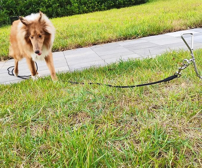 13FT Tie Out Rope Dog Lead, 8-10-15-20-25-30-35-40-50-65 FT, Long Dog Tether Nylon Check Cord for Medium Large Dogs Playing Camping Backyard of Leash Training Tie Down (Black, 3/8")