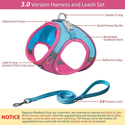 AIITLE Easy Walk Dog Harness and Leash Set - Pet Supply No Pull, Step in Adjustable Dog Harness with Padded Vest for All Weather, Dog Harness No Choke Over, Easy to Put on Medium Dogs Hot Pink L
